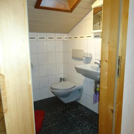 Wingen Appartement